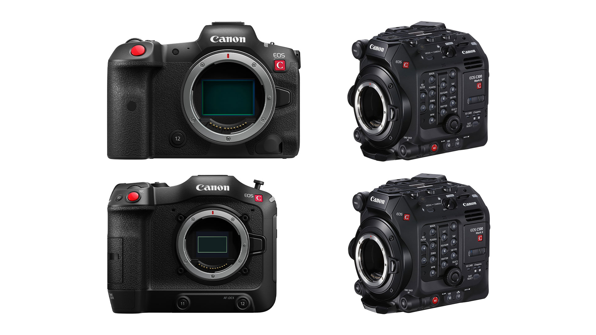 Canon Annonce des Mises à Jour Firmware pour l'EOS R5 C, l'EOS C70, la